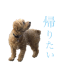みんなだいすき！ヒナたろう（個別スタンプ：3）