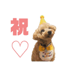 みんなだいすき！ヒナたろう（個別スタンプ：5）