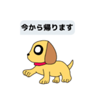 使いやすい！かわいい犬スタンプ【修正版】（個別スタンプ：18）