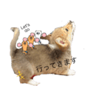 コタロウ時々ぽんたけし。（個別スタンプ：10）