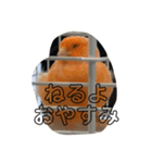 こんにちはピーちゃん（個別スタンプ：6）
