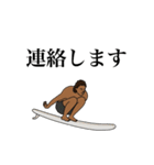 LOG SURF 4（個別スタンプ：24）