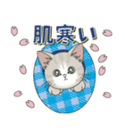 仔猫のぽんにゃん【春＊初夏】飛び出す（個別スタンプ：3）