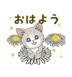 仔猫のぽんにゃん【春＊初夏】飛び出す（個別スタンプ：5）