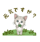 仔猫のぽんにゃん【春＊初夏】飛び出す（個別スタンプ：10）