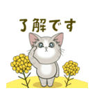 仔猫のぽんにゃん【春＊初夏】飛び出す（個別スタンプ：11）