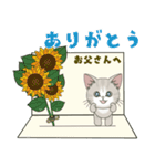 仔猫のぽんにゃん【春＊初夏】飛び出す（個別スタンプ：14）