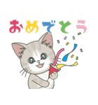 仔猫のぽんにゃん【春＊初夏】飛び出す（個別スタンプ：15）