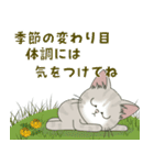 仔猫のぽんにゃん【春＊初夏】飛び出す（個別スタンプ：17）