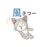 仔猫のぽんにゃん【春＊初夏】飛び出す（個別スタンプ：19）