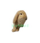 Yuzustamp#（個別スタンプ：3）