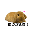 Yuzustamp#（個別スタンプ：6）