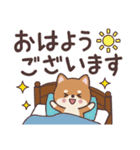 わんこのでか文字あいさつ（個別スタンプ：13）