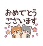 わんこのでか文字あいさつ（個別スタンプ：19）