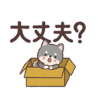 わんこのでか文字あいさつ（個別スタンプ：23）