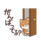 わんこのでか文字あいさつ（個別スタンプ：31）