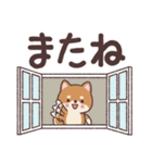 わんこのでか文字あいさつ（個別スタンプ：40）