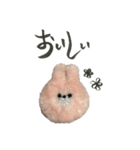 手書きスタンプふわふわうさぎ（個別スタンプ：13）