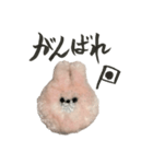 手書きスタンプふわふわうさぎ（個別スタンプ：14）