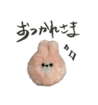 手書きスタンプふわふわうさぎ（個別スタンプ：16）