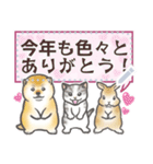 犬猫兎02 あけおめメッセージ（修正版）（個別スタンプ：3）