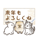 犬猫兎02 あけおめメッセージ（修正版）（個別スタンプ：4）
