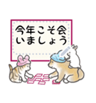 犬猫兎02 あけおめメッセージ（修正版）（個別スタンプ：10）