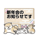 犬猫兎02 あけおめメッセージ（修正版）（個別スタンプ：15）