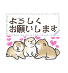 犬猫兎02 あけおめメッセージ（修正版）（個別スタンプ：24）