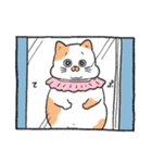 ねこに転生したおじさん。スタンプその1（個別スタンプ：38）