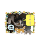 にゃんこの日常（ミュータン）Ver.（個別スタンプ：7）