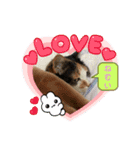 にゃんこの日常（ミュータン）Ver.（個別スタンプ：8）