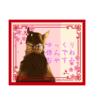 にゃんこの日常（ミュータン）Ver.（個別スタンプ：13）