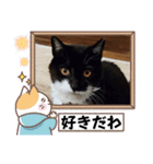 くろちゃんシリーズ（個別スタンプ：4）