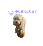 なんでやねんジヨサラヘヨ（個別スタンプ：3）