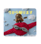 なんでやねんジヨサラヘヨ（個別スタンプ：5）