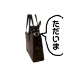 フクキ コロ（個別スタンプ：15）