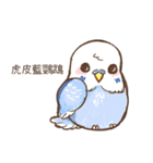 かわいいペットの鳥のイラスト NO.1（個別スタンプ：1）