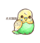 かわいいペットの鳥のイラスト NO.1（個別スタンプ：2）