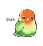 かわいいペットの鳥のイラスト NO.1（個別スタンプ：3）