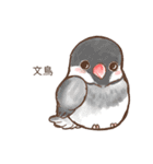 かわいいペットの鳥のイラスト NO.1（個別スタンプ：8）