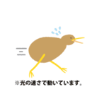 とってもかわいいキーウィさん（個別スタンプ：11）