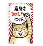 寅・寅・寅猫 あけおめ（修正版・再販）（個別スタンプ：3）