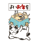 寅・寅・寅猫 あけおめ（修正版・再販）（個別スタンプ：5）
