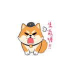 柴犬ハッピーな瞬間 II（個別スタンプ：10）