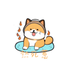 柴犬ハッピーな瞬間 II（個別スタンプ：11）