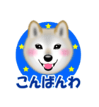 柴犬リコちゃんのラインスタンプでち。（個別スタンプ：3）