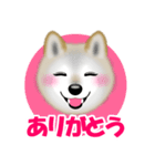 柴犬リコちゃんのラインスタンプでち。（個別スタンプ：13）