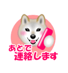 柴犬リコちゃんのラインスタンプでち。（個別スタンプ：21）