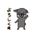 With Pugs（個別スタンプ：12）